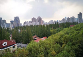 上海新華路花園洋房出租，246㎡獨(dú)棟