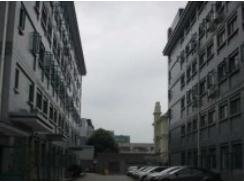 上海梅隴科技信息園助力企業(yè)跨越發(fā)展，筑夢(mèng)科技未來(lái)